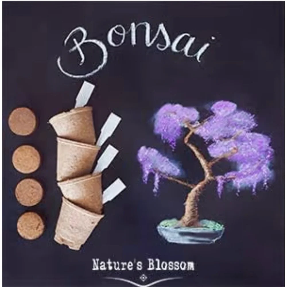 Bonsai Seed Starter Kit - Green and Purple NWT. Amazing last minute gift! - Picture 6 of 8